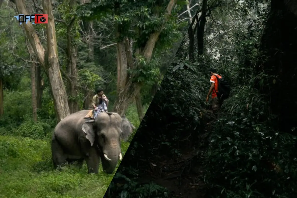 Aadrai Jungle Trek Distance, Duration & Trail Type