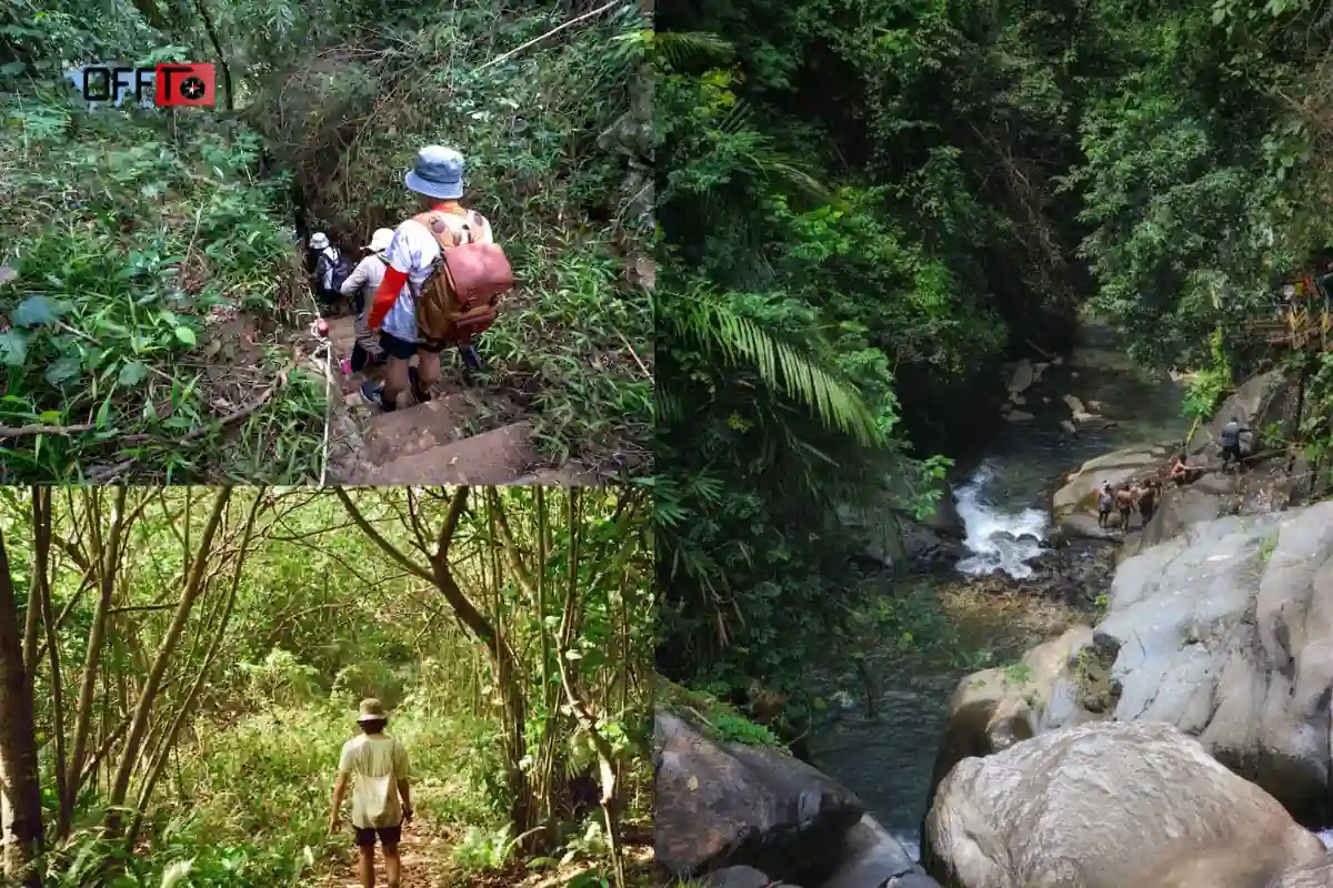 Aadrai Jungle Trek Expectation vs Reality
