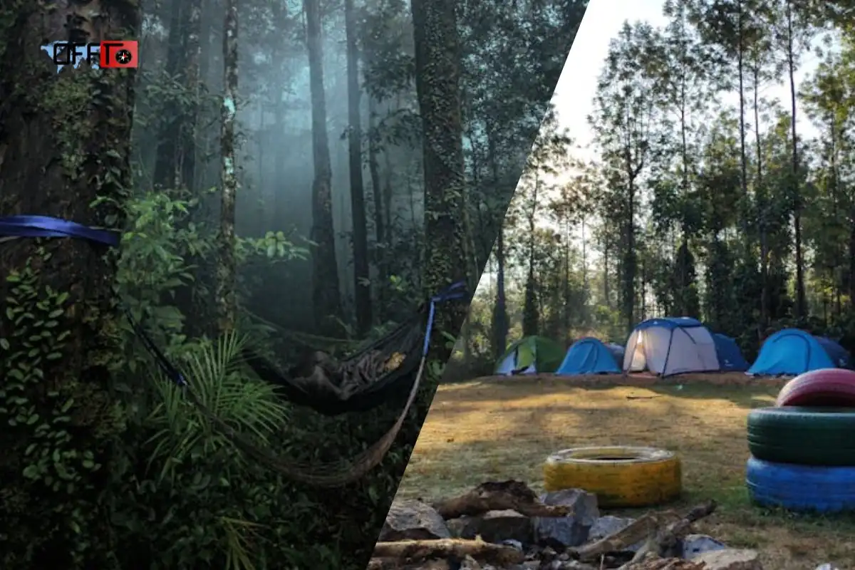 Aadrai Jungle Trek Itinerary One-Day Monsoon Plan