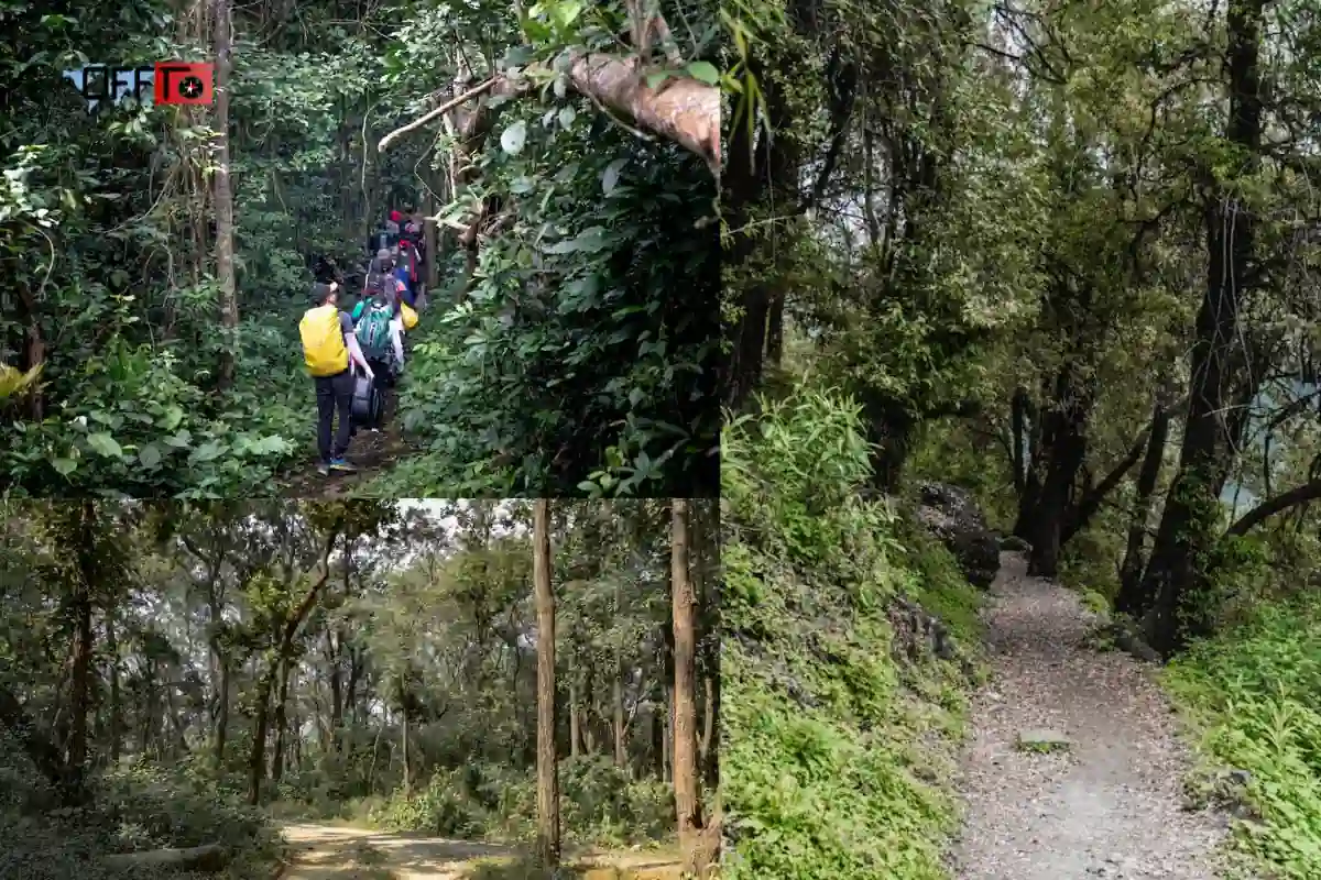 Aadrai Jungle Trek Location Where Is Aadrai Jungle Trek
