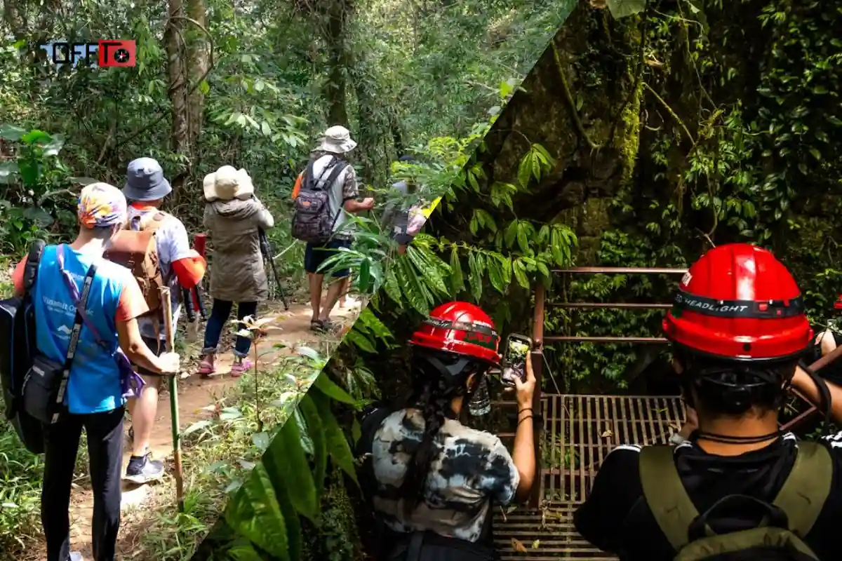 Aadrai Jungle Trek Safety Guide