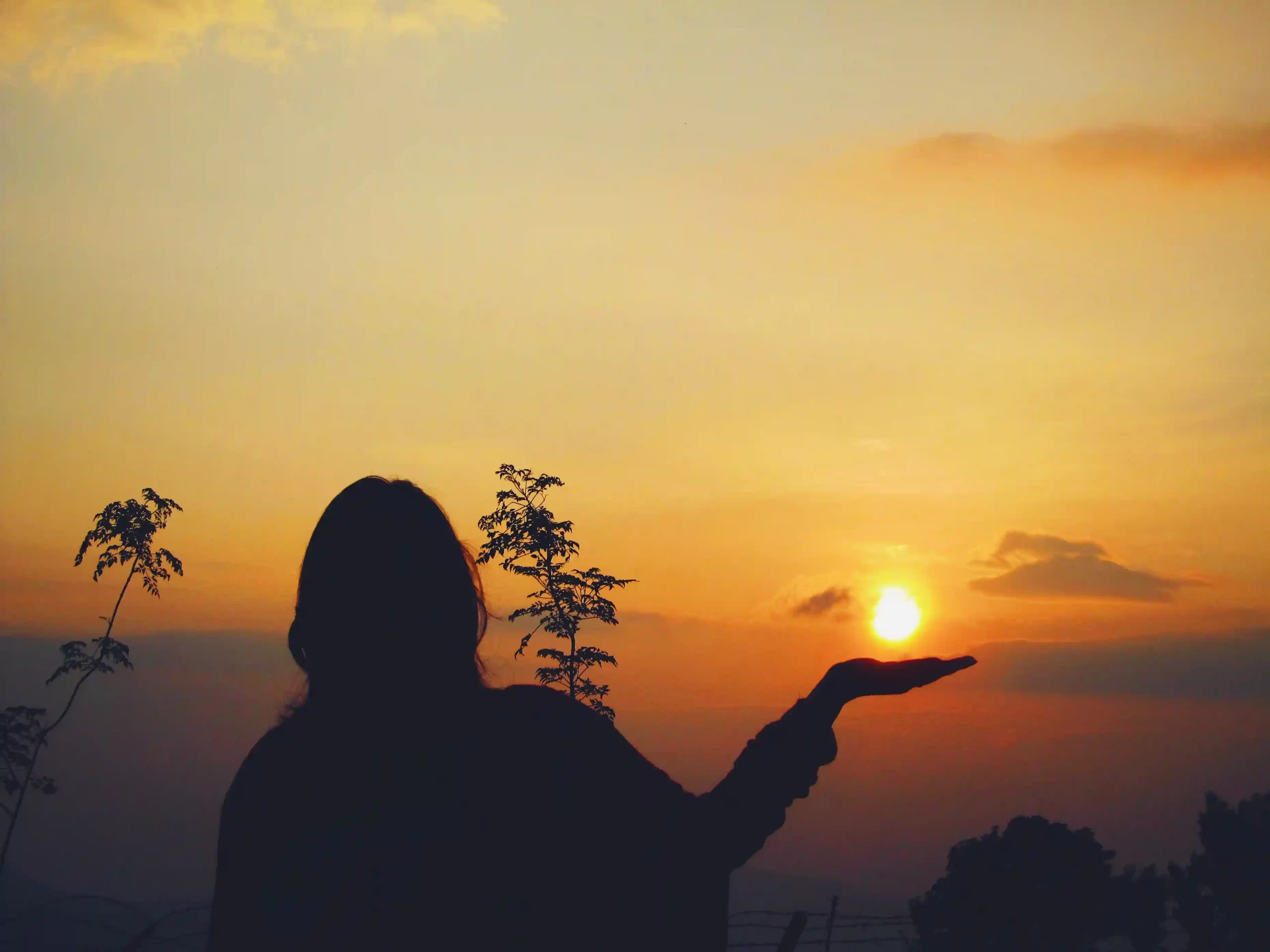 Agumbe Sunset View Point (What to Expect)