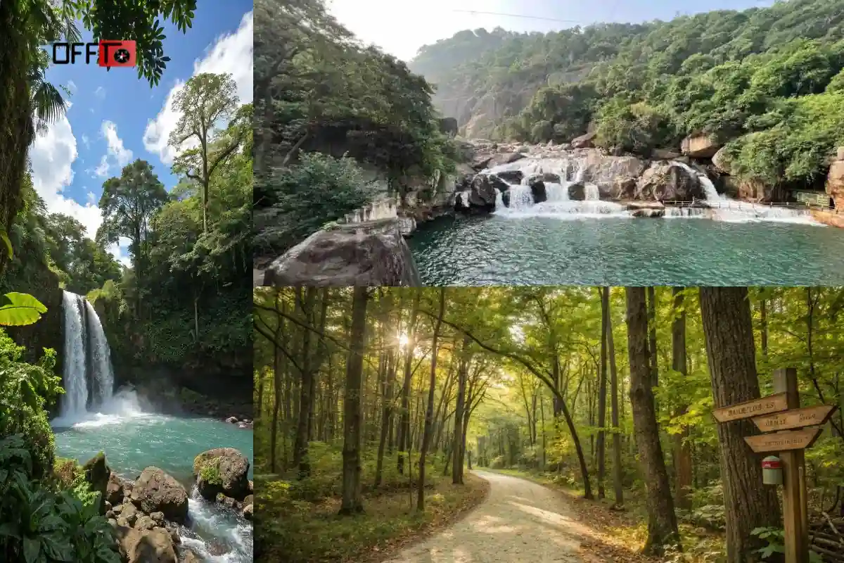 Best Places to Visit in Manjolai