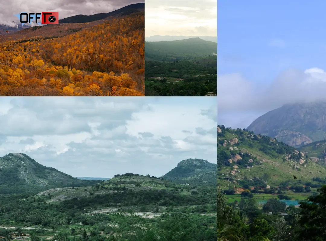 Best Time to Visit Jawadhu Hills