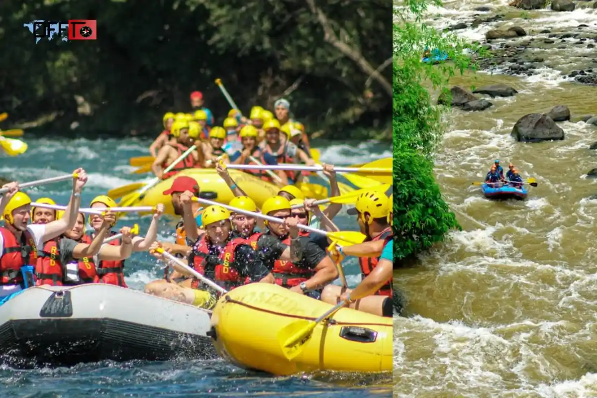 Dandeli River Rafting What to Expect on the Kali River