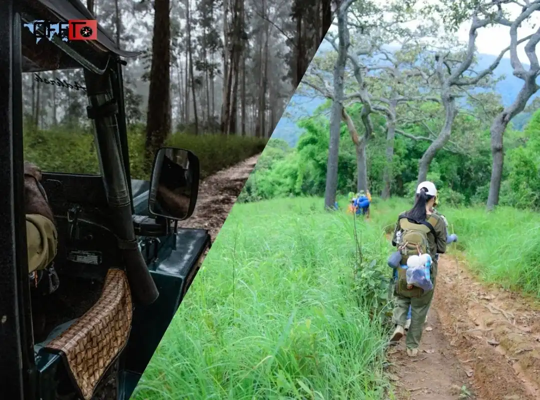 Dudhsagar Falls Jeep Safari vs Trek Which Should You Choose