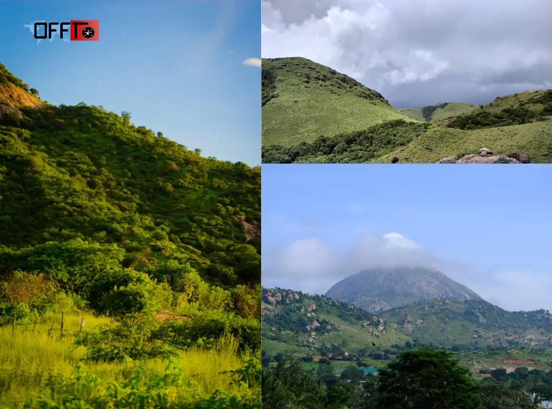 Expectation vs Reality What Jawadhu Hills Is Really Like