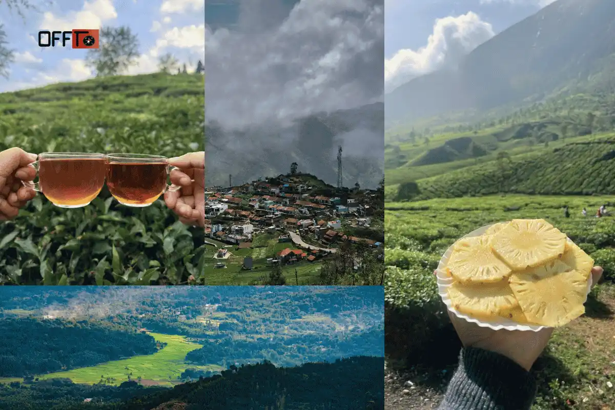 Food, Facilities & Network in Manjolai