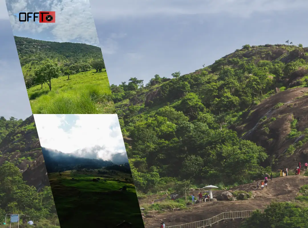 Jawadhu Hills Itinerary 1 Day, 2 Days and Weekend Plan