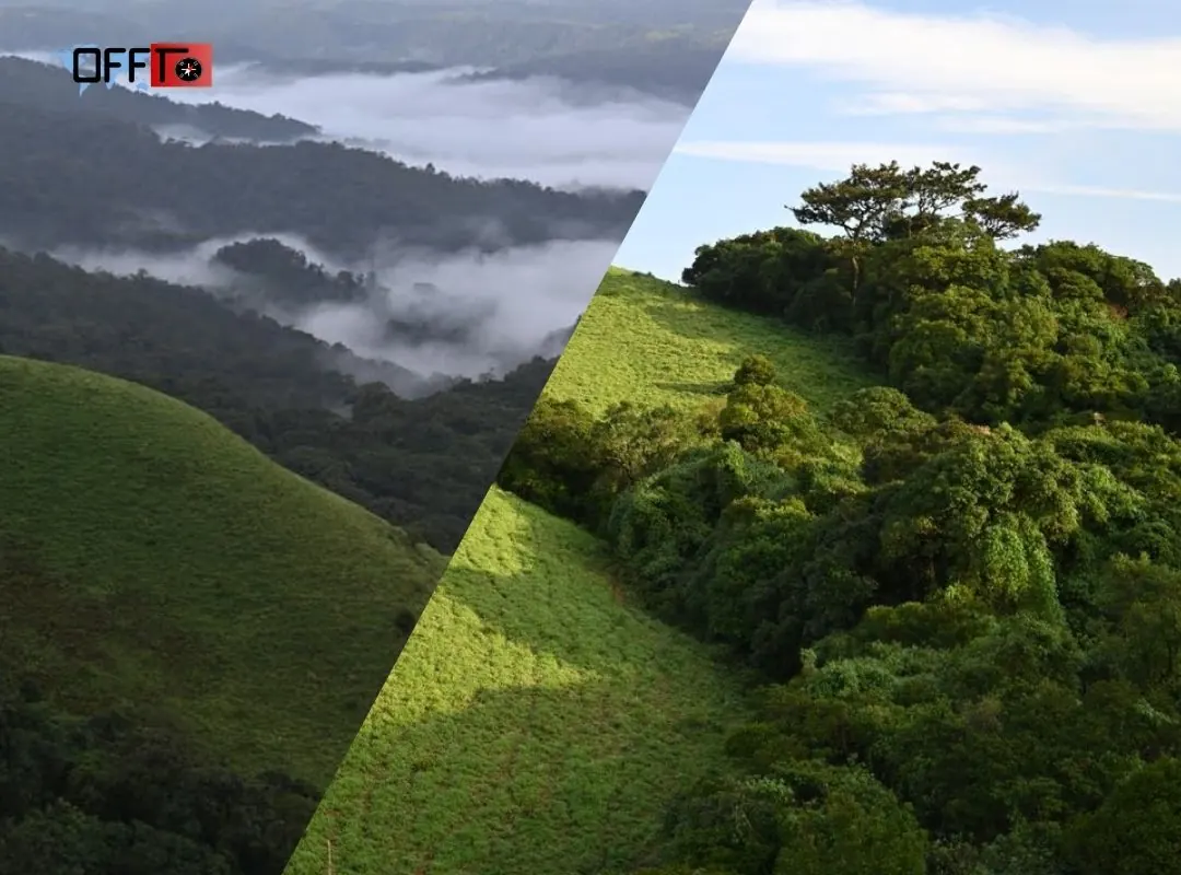 Kaiwara Weather and Best Time to Visit