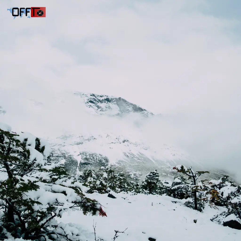Kalpa in Winter (Snowfall Experience)