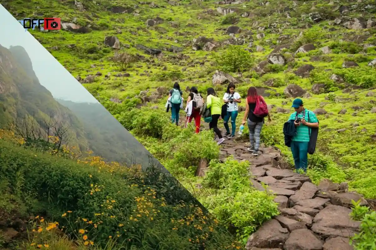 Malshej Ghat Weather What to Expect by Season
