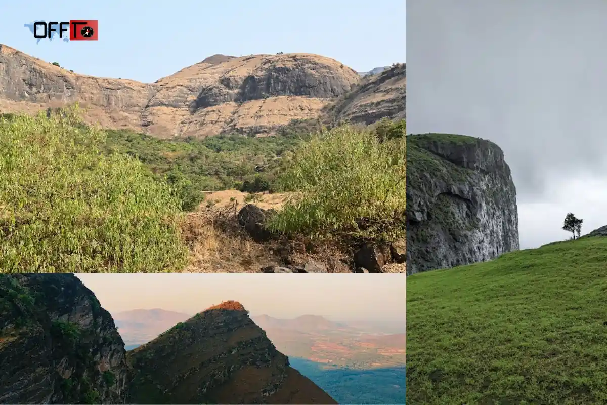 Mangi Tungi Expectation vs Reality