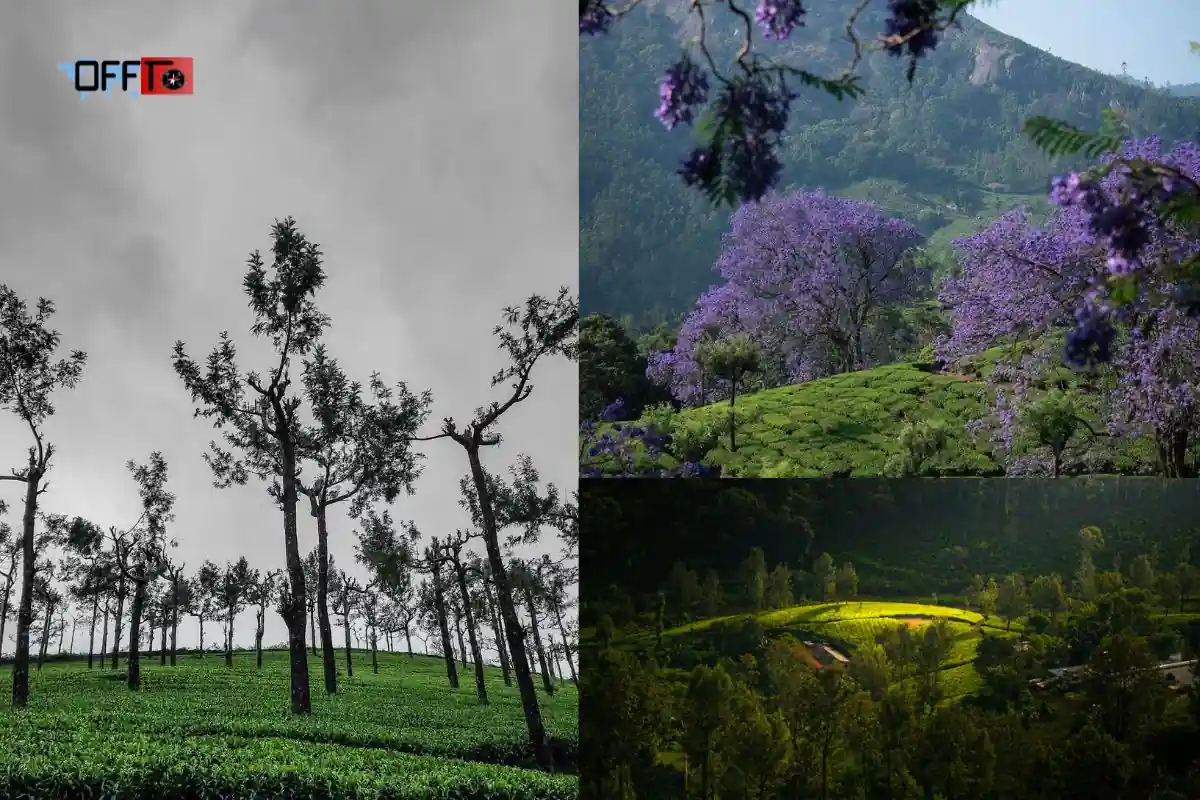 Manjolai One-Day Itinerary