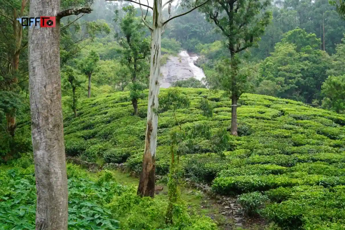 Manjolai Tamil Nadu Why This Hill Region Feels Different