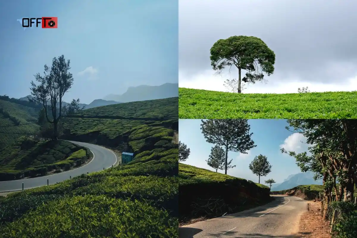Manjolai Travel Cost & Budget Planning