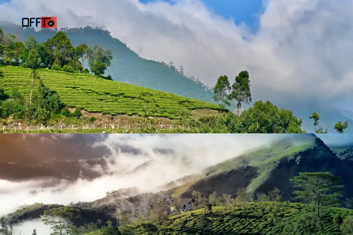 Manjolai Travel Reality Expectation vs Reality