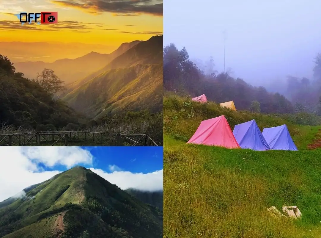 Meesapulimala Stay Options Base Camp, Rhodo Mansion & Sky Cottage