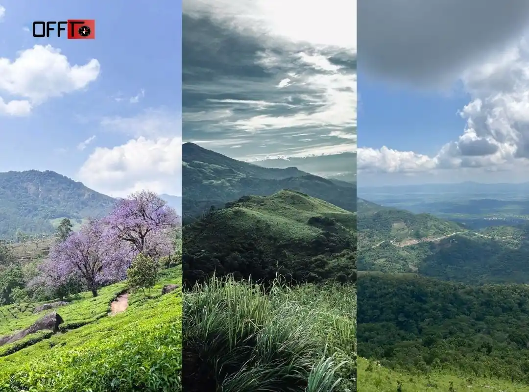 Meesapulimala Weather What to Expect Before the Trek
