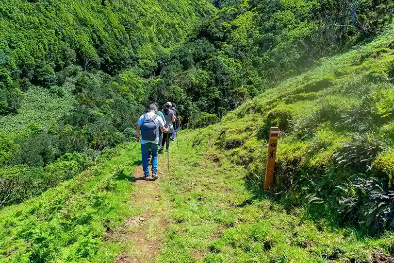 Netravati Trek Route & Trail Experience