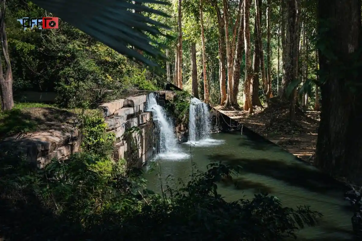 Places to Visit Near Aadrai Jungle Trek