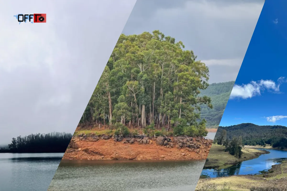 Pykara Dam Why It Matters and Should You Visit
