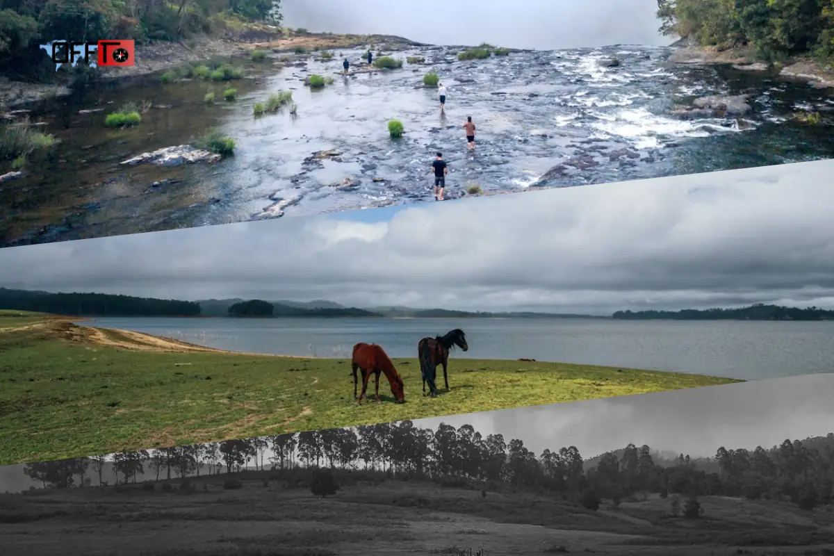 Pykara Lake Itinerary Half-Day and Full-Day Plans