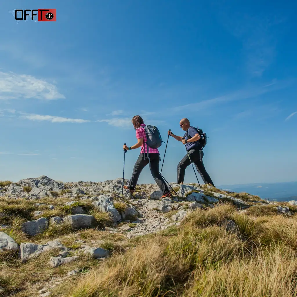 Sainj Valley Trek Guide