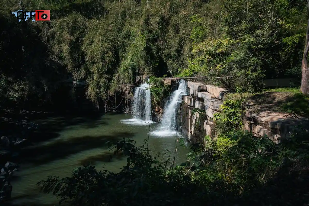 Thirparappu Waterfalls Height, Flow & Seasonal Reality