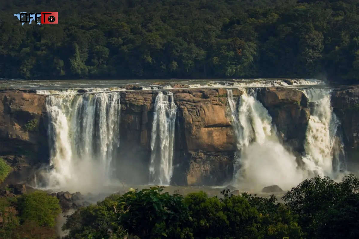 Thirparappu Waterfalls Timings & Entry
