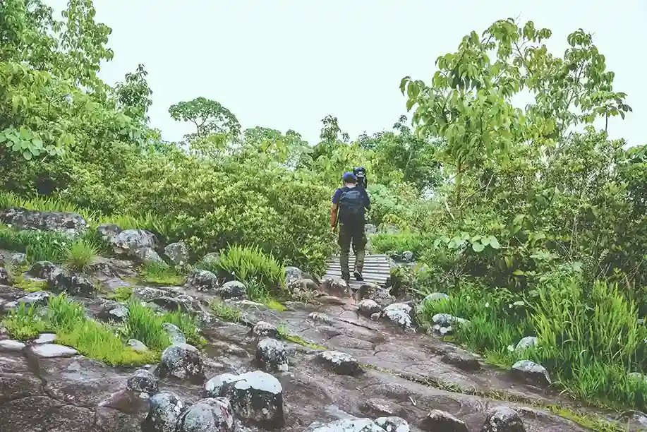 Uttari Betta Trek Distance, Height & Altitude