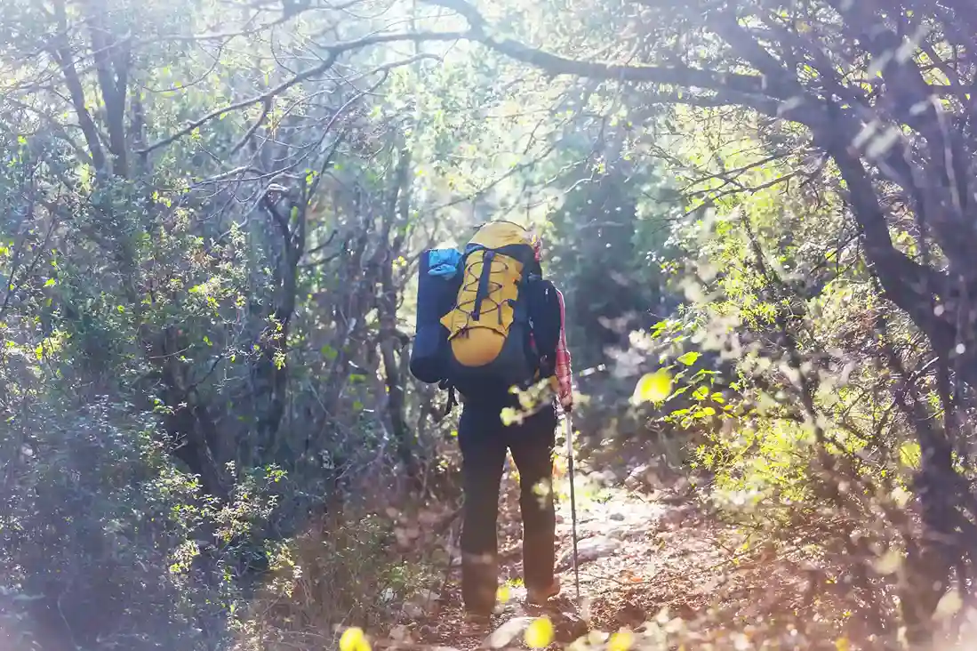 Uttari Betta Trek Experience – What It Actually Feels Like