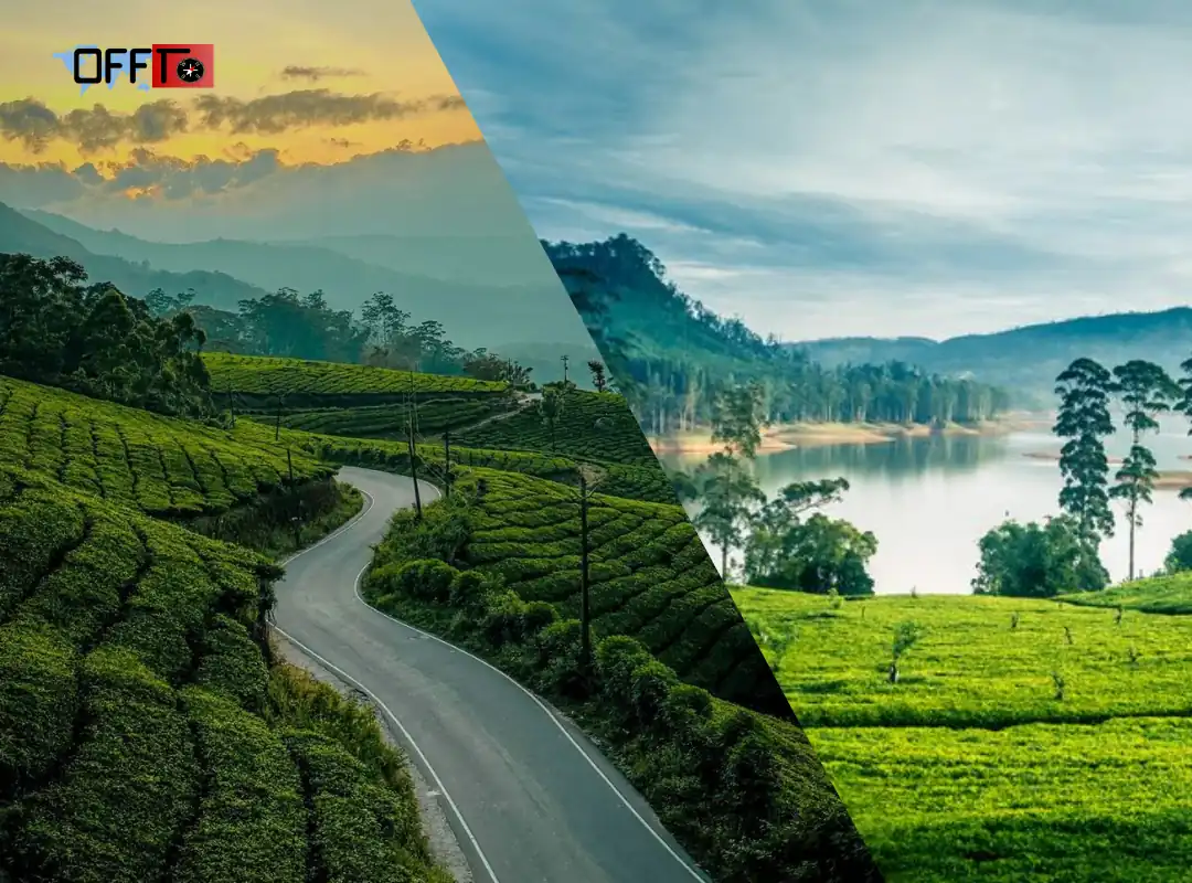 Vattavada vs Munnar Which Is Better for Your Trip