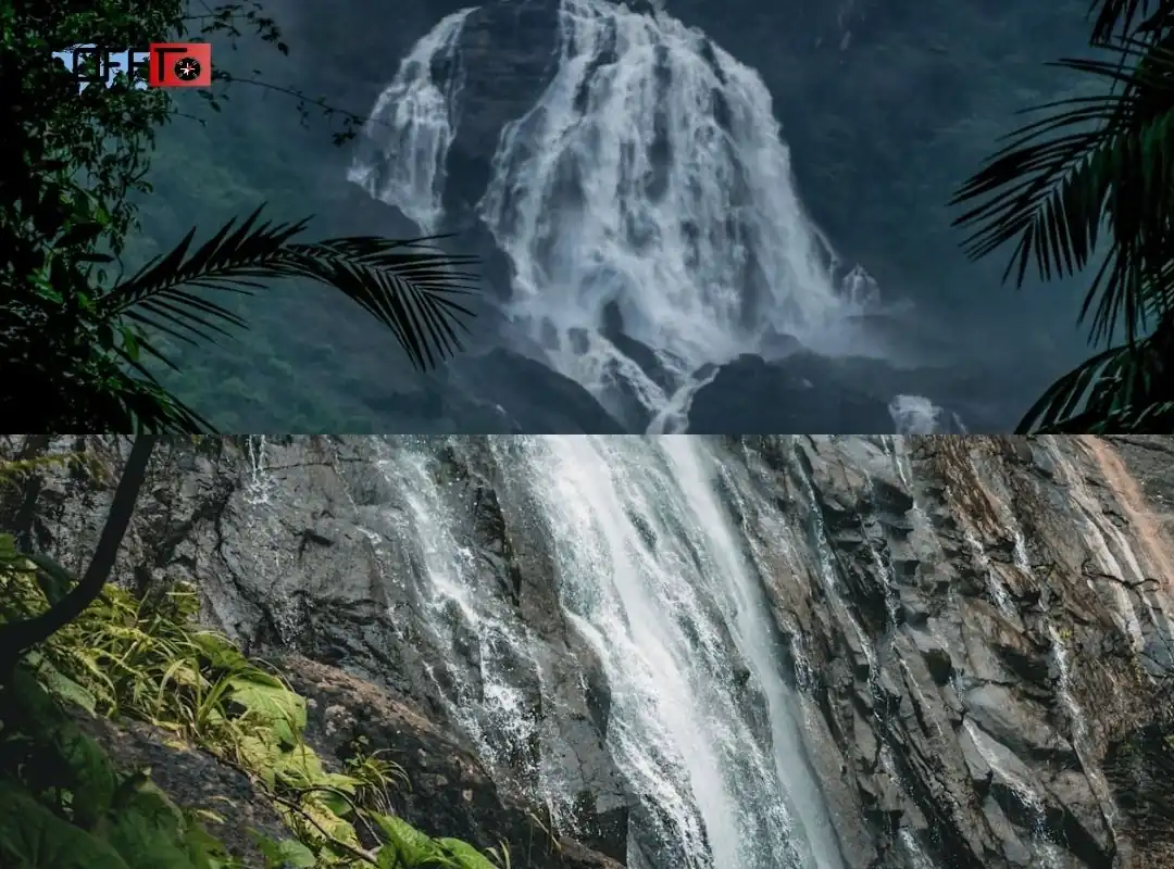 What Makes Dudhsagar Falls Special