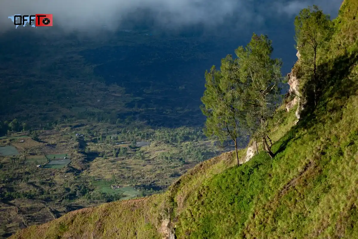 Where Is Dhanaulti Located