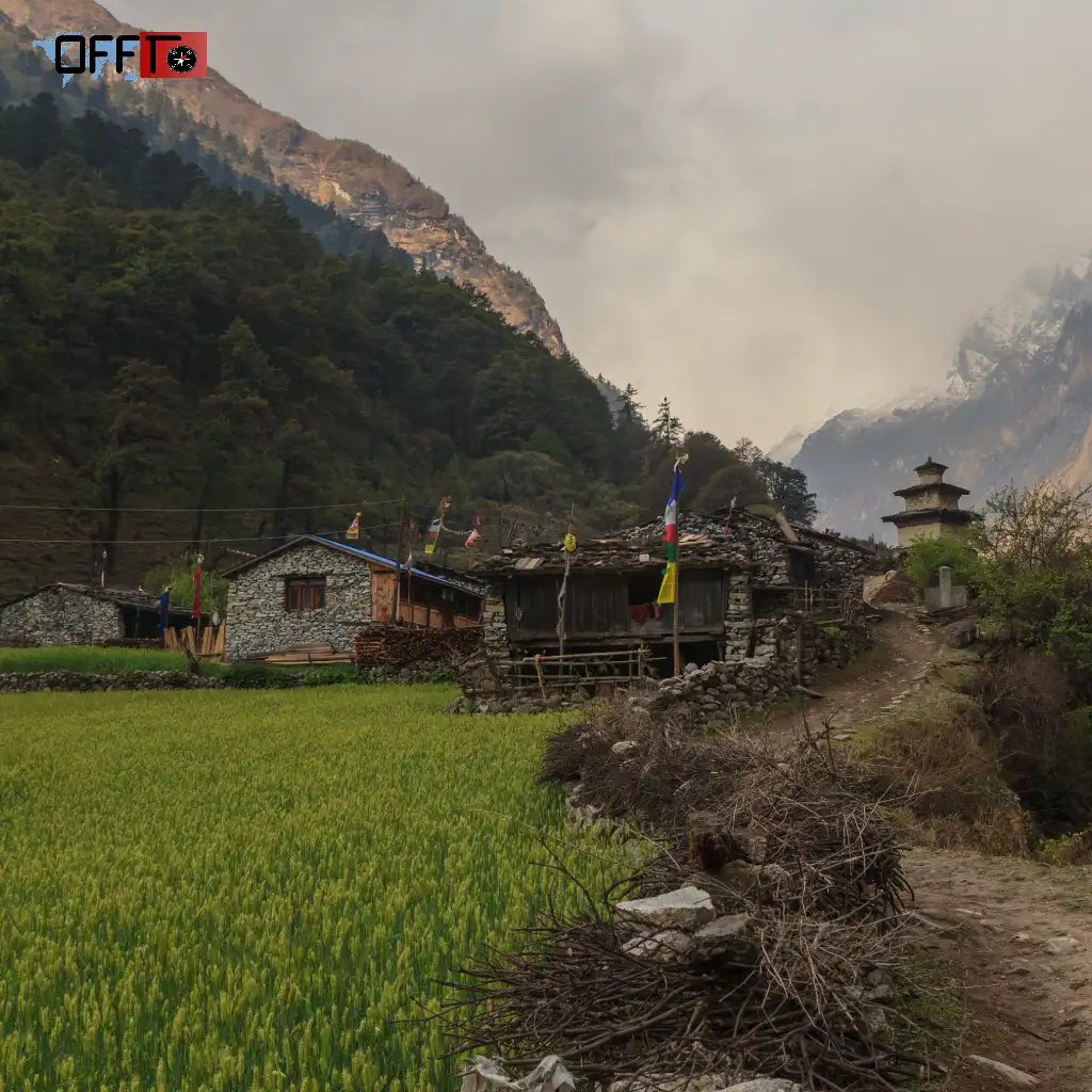 Why is Sainj Valley Famous (Why Visit)