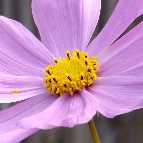 Testing Hotel Agrello